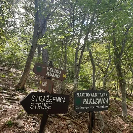 Vito Starigrad Paklenica
