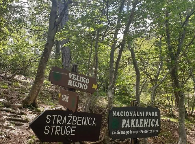 Vito Starigrad Paklenica