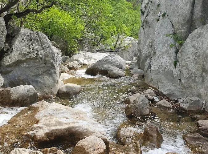 Апартаменты Vito *